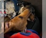 Small #8 Breeder Profile image