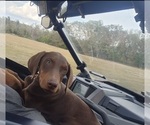 Small #5 Breeder Profile image