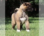 Small #7 Breeder Profile image