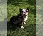 Small #7 Breeder Profile image