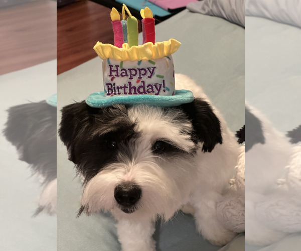 Medium Photo #1  Breeder Profile in ENID, OK, USA