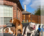 Small #5 Breeder Profile image