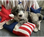 Small #7 Breeder Profile image