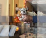 Small #36 Breeder Profile image