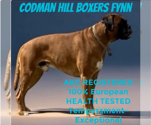 Medium Photo #3  Breeder Profile in CONCORD, NH, USA