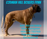 Small #2 Breeder Profile image