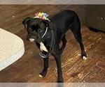 Small #6 Breeder Profile image