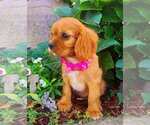 Small #3 Breeder Profile image