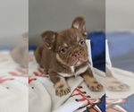Small #7 Breeder Profile image
