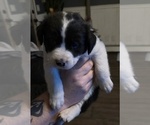 Small #9 Breeder Profile image