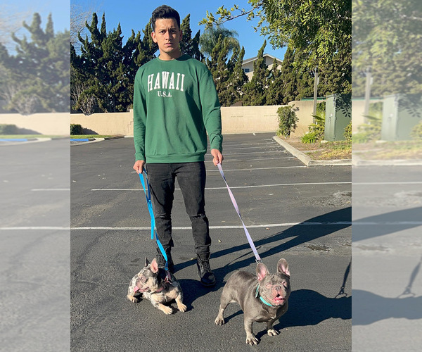 Medium Photo #1  Breeder Profile in SAN FRANCISCO, CA, USA