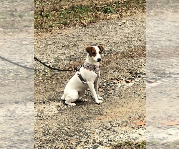 Medium Photo #3  Breeder Profile in MABLETON, GA, USA