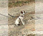 Small #2 Breeder Profile image