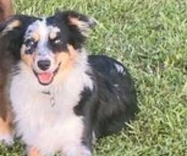 Medium Photo #1  Breeder Profile in GATES, NC, USA