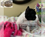 Small #10 Breeder Profile image