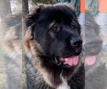 Small #70 Breeder Profile image
