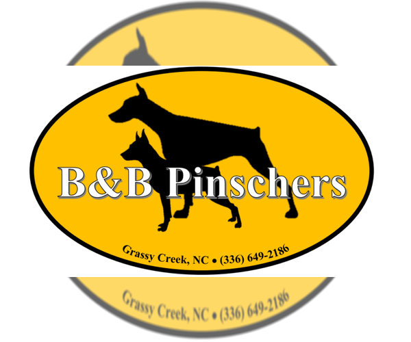 Medium Photo #1  Breeder Profile in GRASSY CREEK, NC, USA