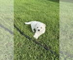 Small #1 Breeder Profile image