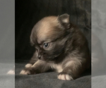 Small #2 Breeder Profile image