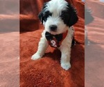 Small #27 Breeder Profile image