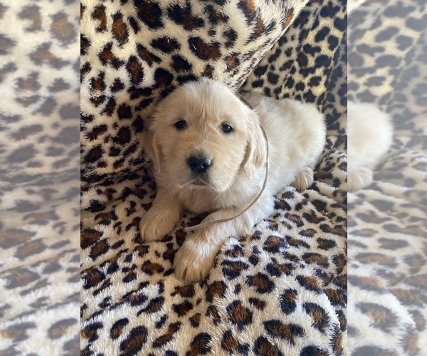 Medium Photo #2  Breeder Profile in PRITCHETT, CO, USA