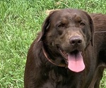Small #2 Breeder Profile image