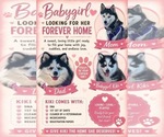 Small #1 Breeder Profile image