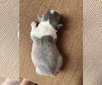 Small #4 Breeder Profile image