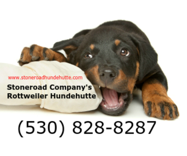 Medium Photo #1  Breeder Profile in CHICO, CA, USA