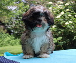 Small #50 Breeder Profile image