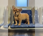 Small #13 Breeder Profile image