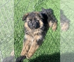 Small #156 Breeder Profile image