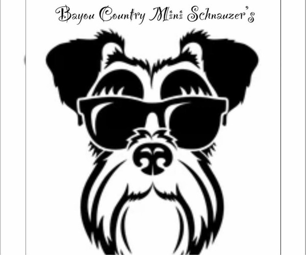 Medium Photo #1  Breeder Profile in RICHMOND, TX, USA