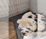 Small #57 Breeder Profile image
