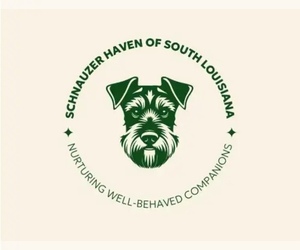 Medium Breeder Profile Photo