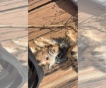Small #2 Breeder Profile image
