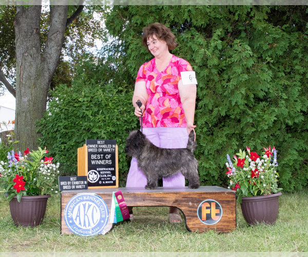 Medium Photo #8  Breeder Profile in ROCKFORD, IL, USA