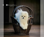 Small #38 Breeder Profile image