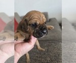 Small #16 Breeder Profile image