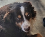 Small #5 Breeder Profile image