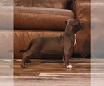 Small #4 Breeder Profile image