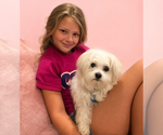 Small #2 Breeder Profile image