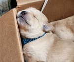Small #10 Breeder Profile image