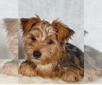 Small #2 Breeder Profile image