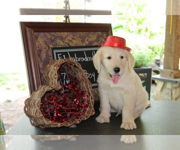 Medium Photo #1  Breeder Profile in CALL, NC, USA