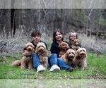 Small #3 Breeder Profile image