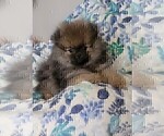 Small #14 Breeder Profile image