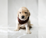 Small #20 Breeder Profile image