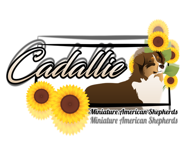 Medium Photo #1  Breeder Profile in ABILENE, KS, USA