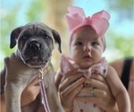 Small #29 Breeder Profile image